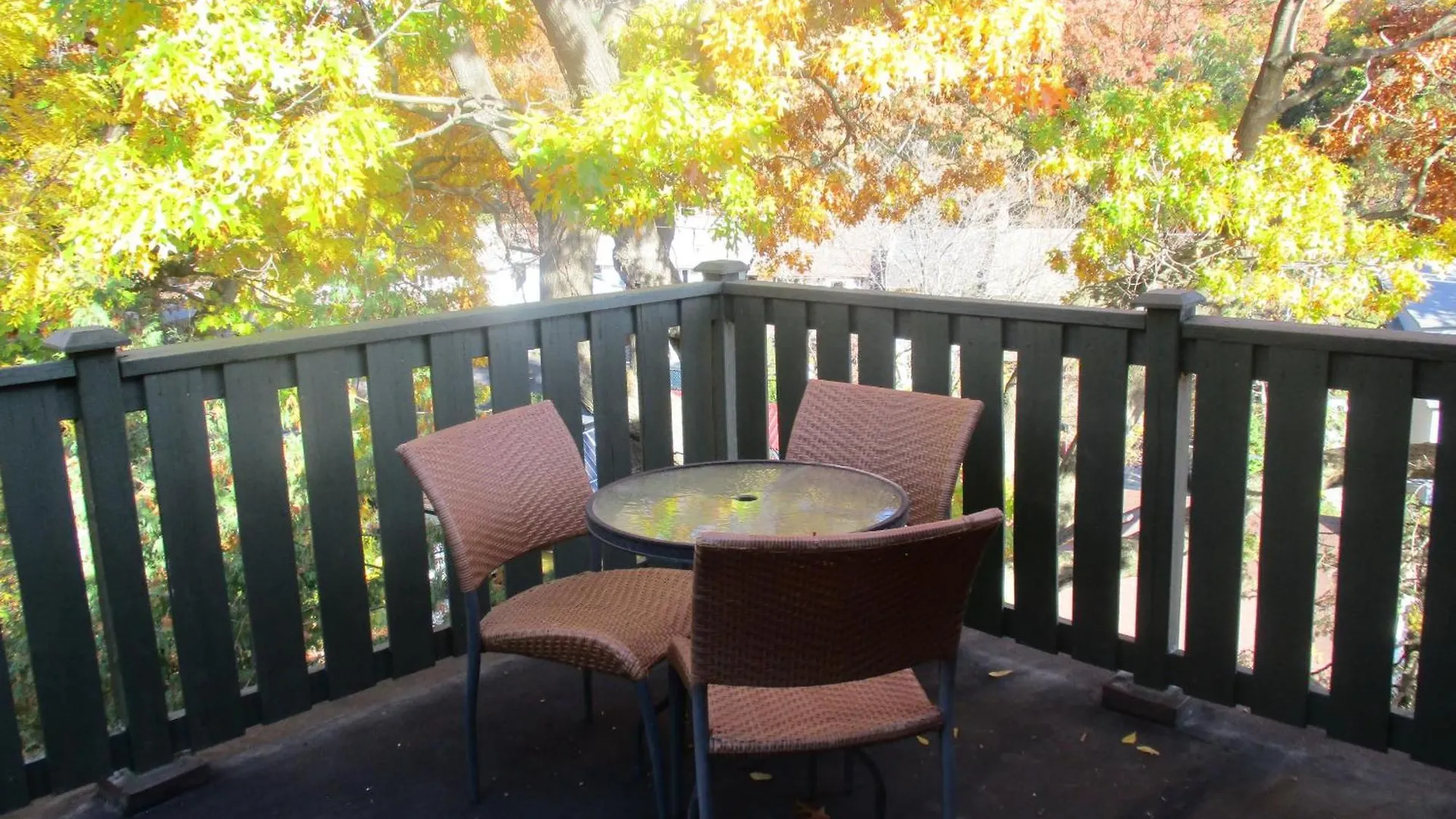 Apartment High Park Double Room With Exclusive Washroom Kitchen And Living Rooms Toronto
