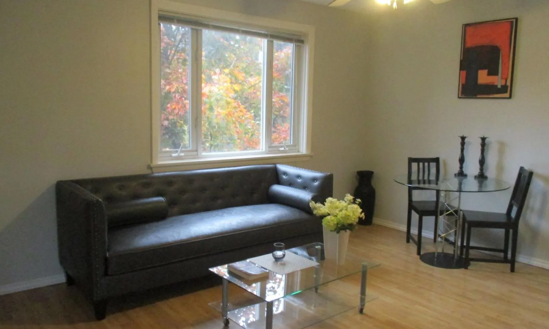 High Park Double Room With Exclusive Washroom Kitchen And Living Rooms Toronto Apartment